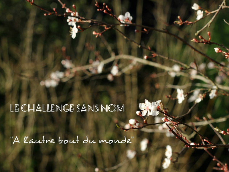 Challenge sans nom - A l'autre bout du monde