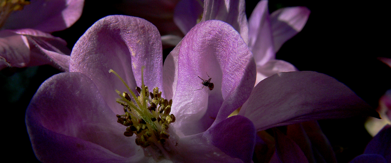 P1230782V