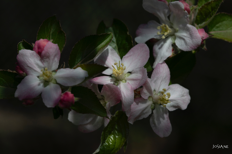 31032019-_MG_5166