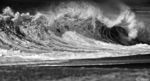 blackwaveoz