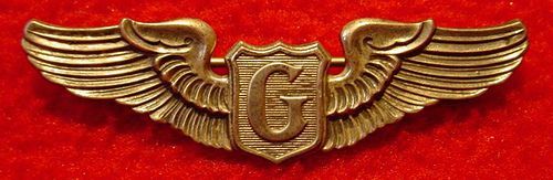 Badge-de-Glider-pilot