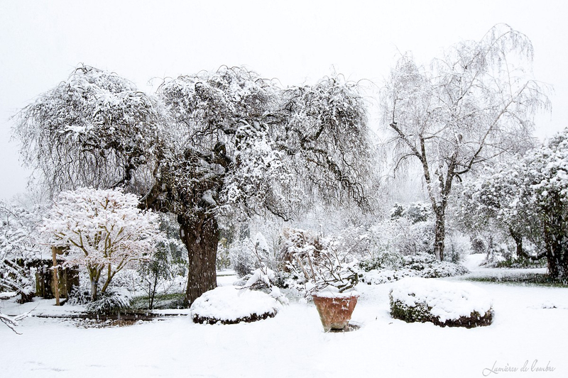 wb_Sophora Bonne Maison neige_20190123_1293b