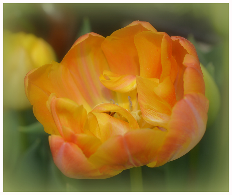 DSC_0258a