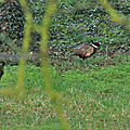 IMG_5438