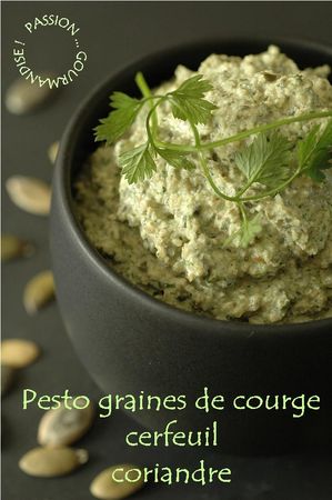 Pesto_graines_de_courge_cerfeuil_coriandre_1