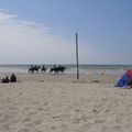 QUEND PLAGE