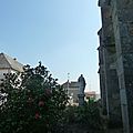 P1130903