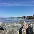 IMG_0570