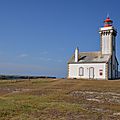 DSC_8411 copie