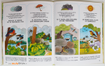 Livre-PETIT-TOM-Secrets-de-bois-7-muluBrok