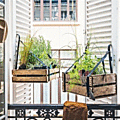 jardin11