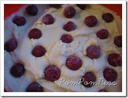 IMG_0985 IMG_0985