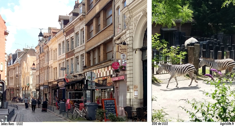 vacances été 2016 2