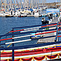 Premières photos prises à sète le 30 avril 2019 (3)