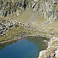 Lac d'Arrious, randonnée, lac d'Arrious et brebis (64)