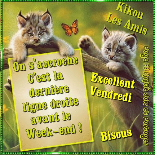 Bonjour Bon Vendredi Terlicotonbea