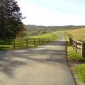 Devil's Glen Entrance