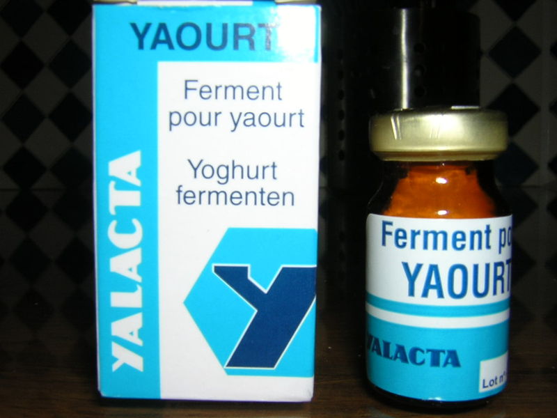 ferment lactique yalacta - CUISINE DES SENS