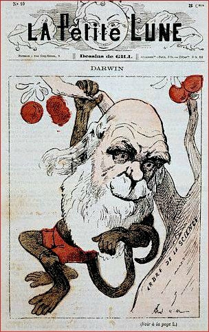 darwin-as-monkey-on-la-petite-lune
