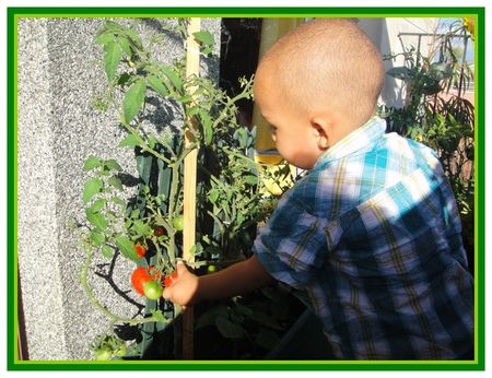 IMG00472_20110813_0729