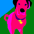 UGGY ou le chien Rose