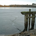 Un étang gelé en Sologne courant janvier 2009