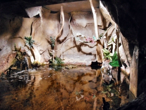 Grand Aquarium de Touraine (10)