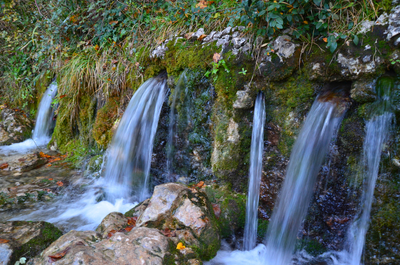 DSC_2413;