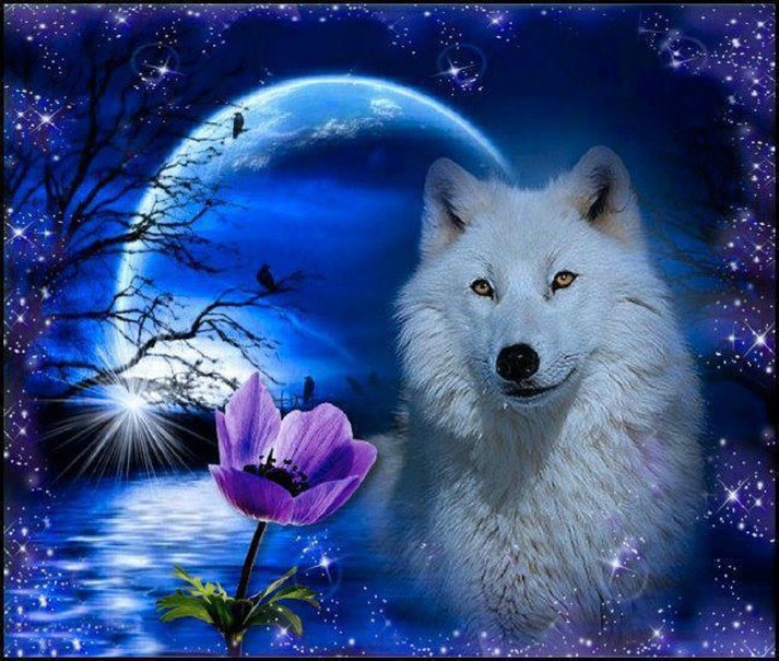 203367__white-wolf-fantasy_p