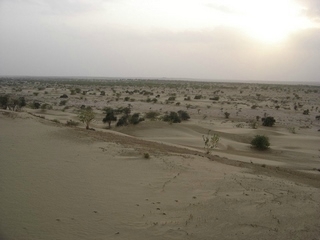Désert du Rajasthan