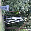 IMG_2720