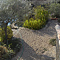 _DSC0300