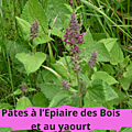 24 EPIAIRE DES BOIS(2)Pâtes à l’Epiaire et au yaourt