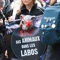 1 985 [Résolution Originale]