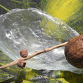 Echo des peaux