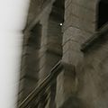 DSC08832