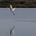 IMG_0773 - Copie