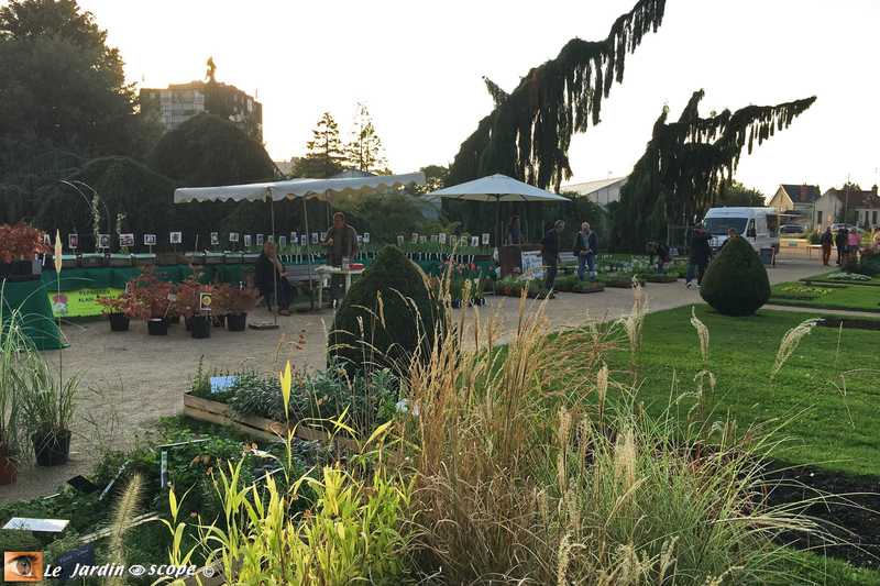 O-Jardin-des-plantes-3