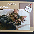 IMG_20190317_160259
