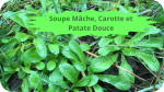 17 DOUCETTE(2)Soupe Mâche, Carotte et Patate Douce-modified