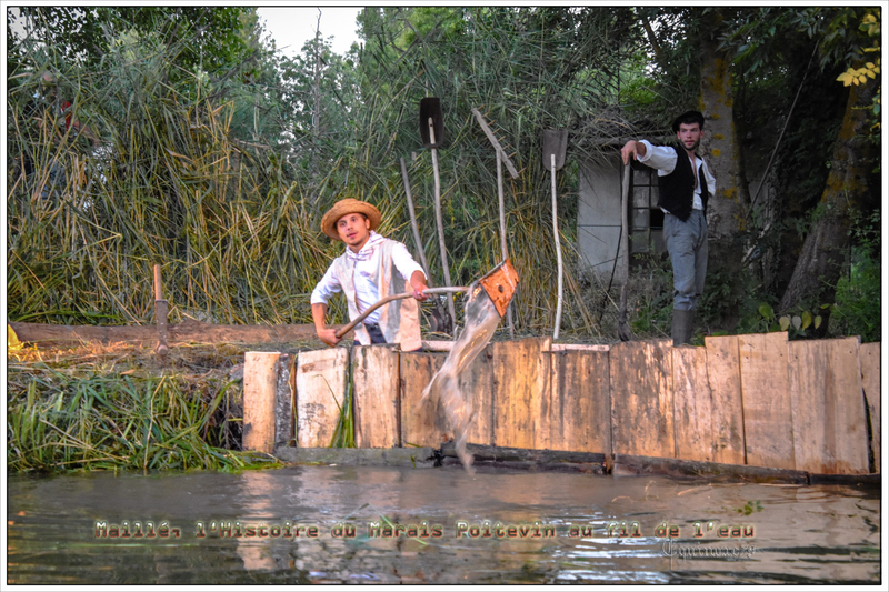 Maillé, l’Histoire du Marais Poitevin au fil de l’eau (2)