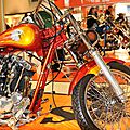 Harleys_CopyrightTasunkaphotos2014_07