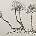 3 trees