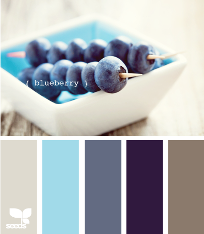 Blueberry605