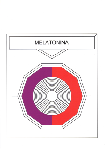 melatonine-onde-de-forme