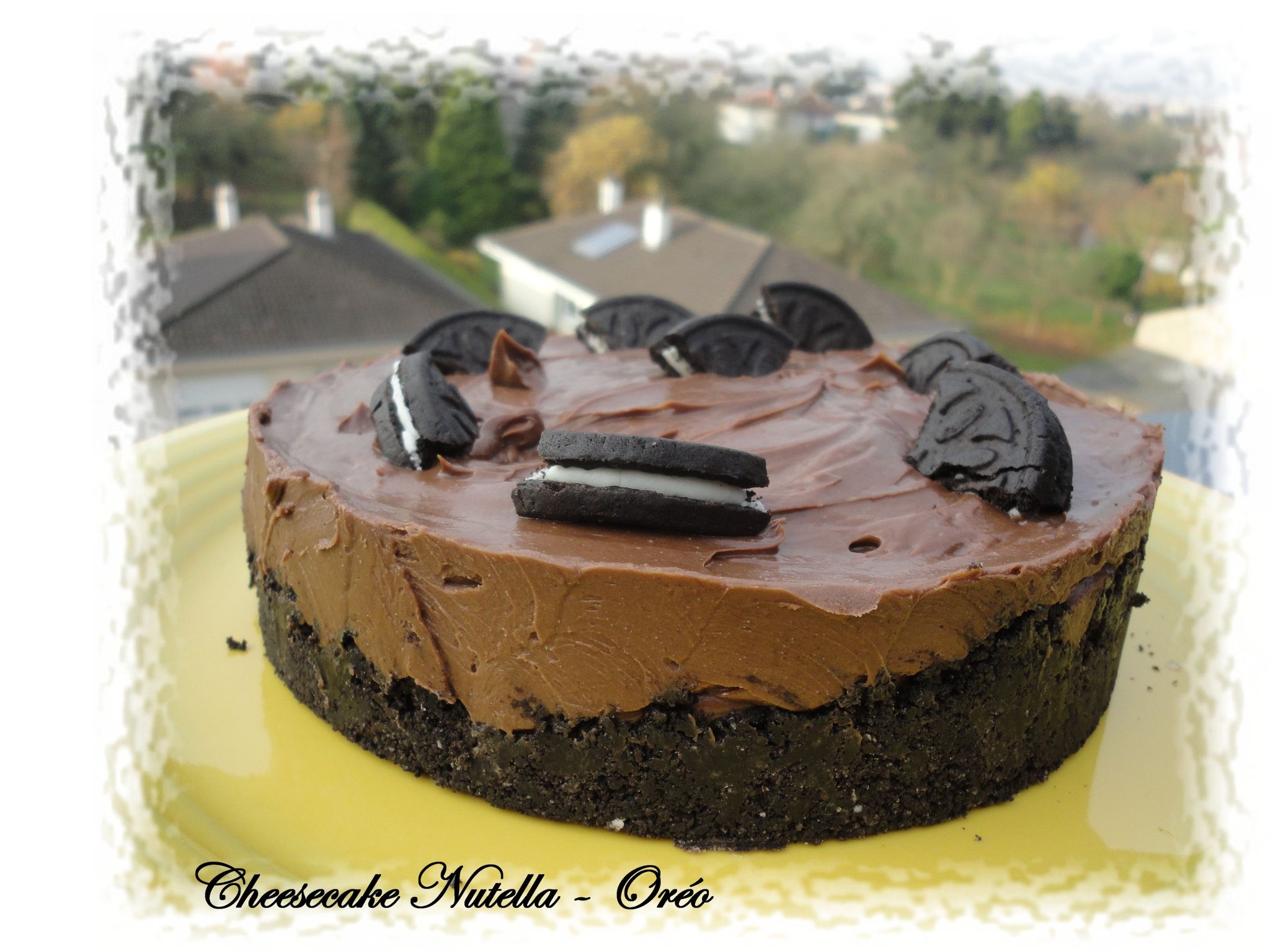 Cheesecake Au Nutella Et Oreo Les Gourmandises D Une Libellule