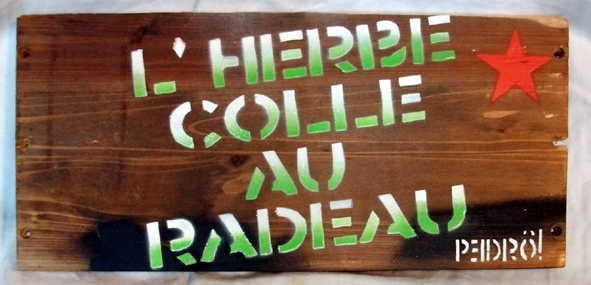 2010810LHerbeBoisPixPedroWeb001