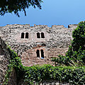 P1220585