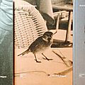 Si j'ai bonne mémoire, de michèle cirès-brigand