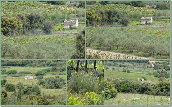 route des oliviers5